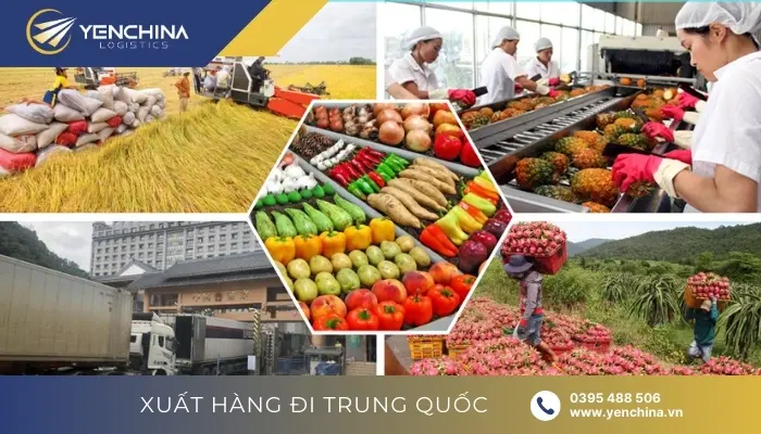 Hướng dẫn Doanh nghiệp xuất khẩu thực phẩm – nông sản đáp ứng lệnh 248, lệnh 249 của GACC