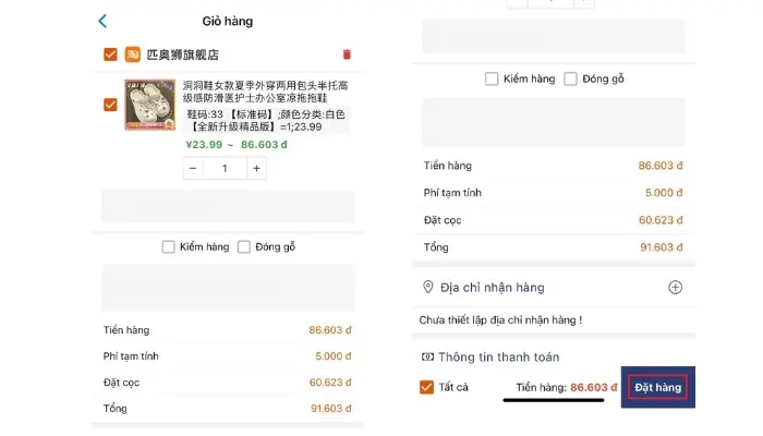 Bước 4: Đặt hàng và thanh toán đơn hàng