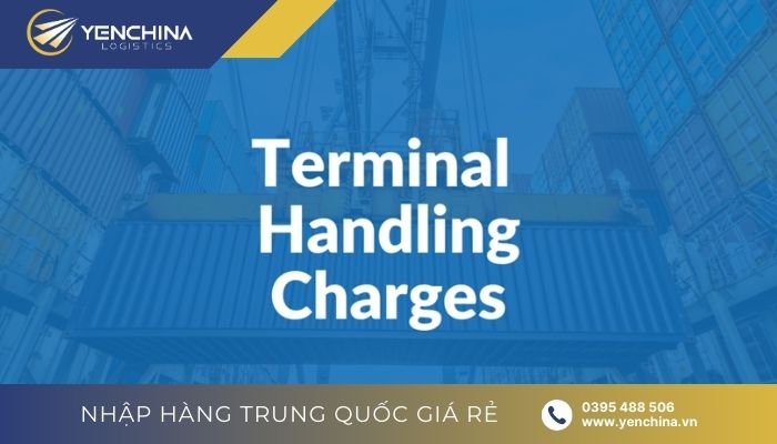 Phí Terminal Handling Local Charge là gì?