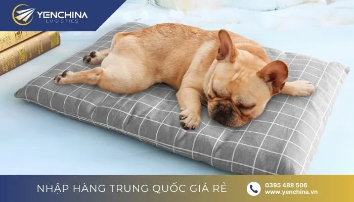 Mùa thu đông nên kinh doanh gì? Đồ giữ ấm cho thú cưng