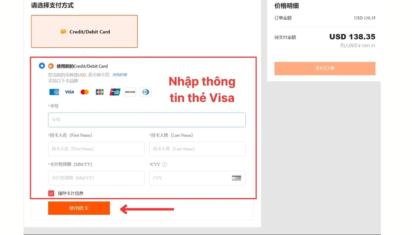 Bước 2: Nhập thông tin thẻ Visa và thanh toán