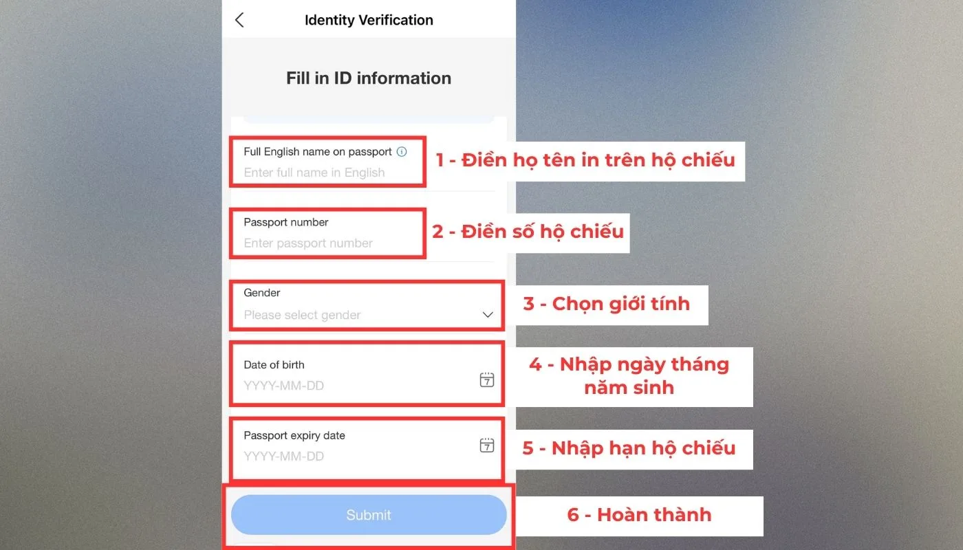 Cách thanh toán Alipay bước 3 - Điền thông tin Cách thanh toán Alipay bước 3 - Điền thông tin