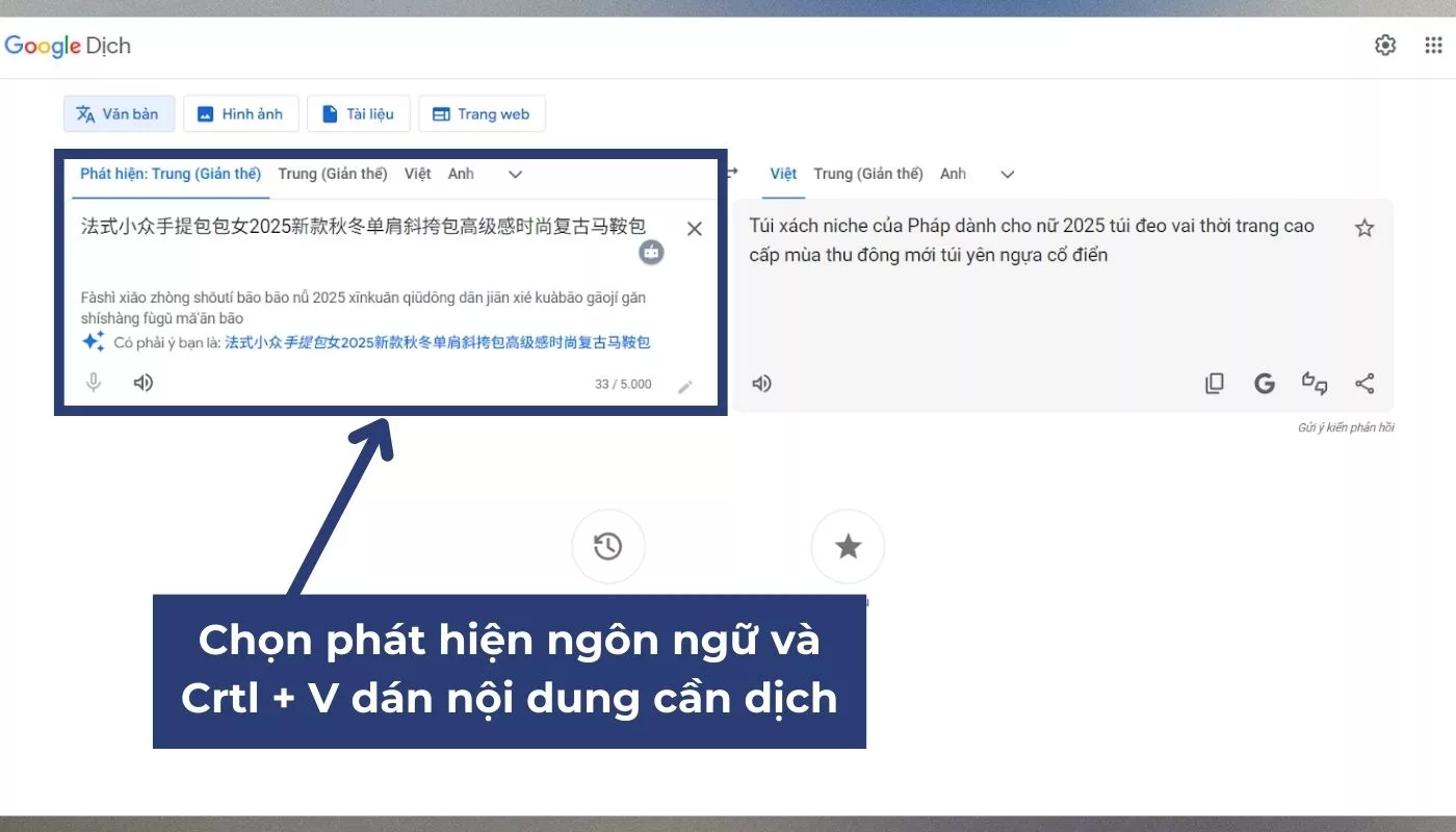 Dán nội dung vừa copy vào website Google Dịch và thiết lập ngôn ngữ