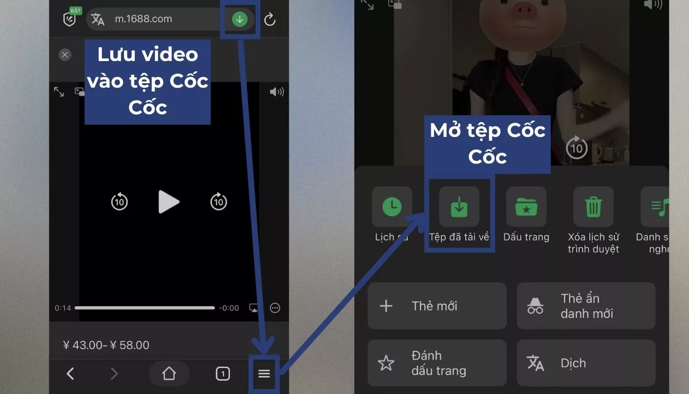 Lưu video 1688 trong file của Cốc Cốc và mở “Tệp đã tải về”