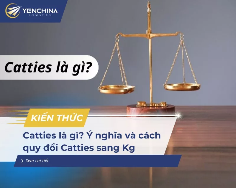 Catties là gì