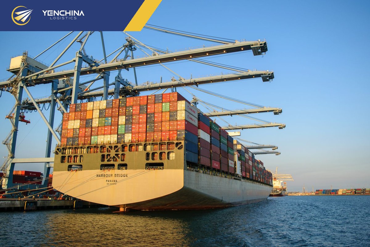 Tàu chở container tại cảng, phương án khi chọn LCL và FCL hàng Trung Quốc